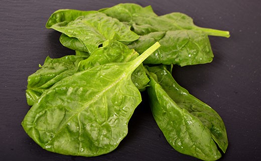 Spinach - small leaves - Edélices Primeur