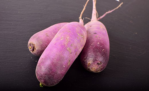 Radish long pink - Edélices Primeur